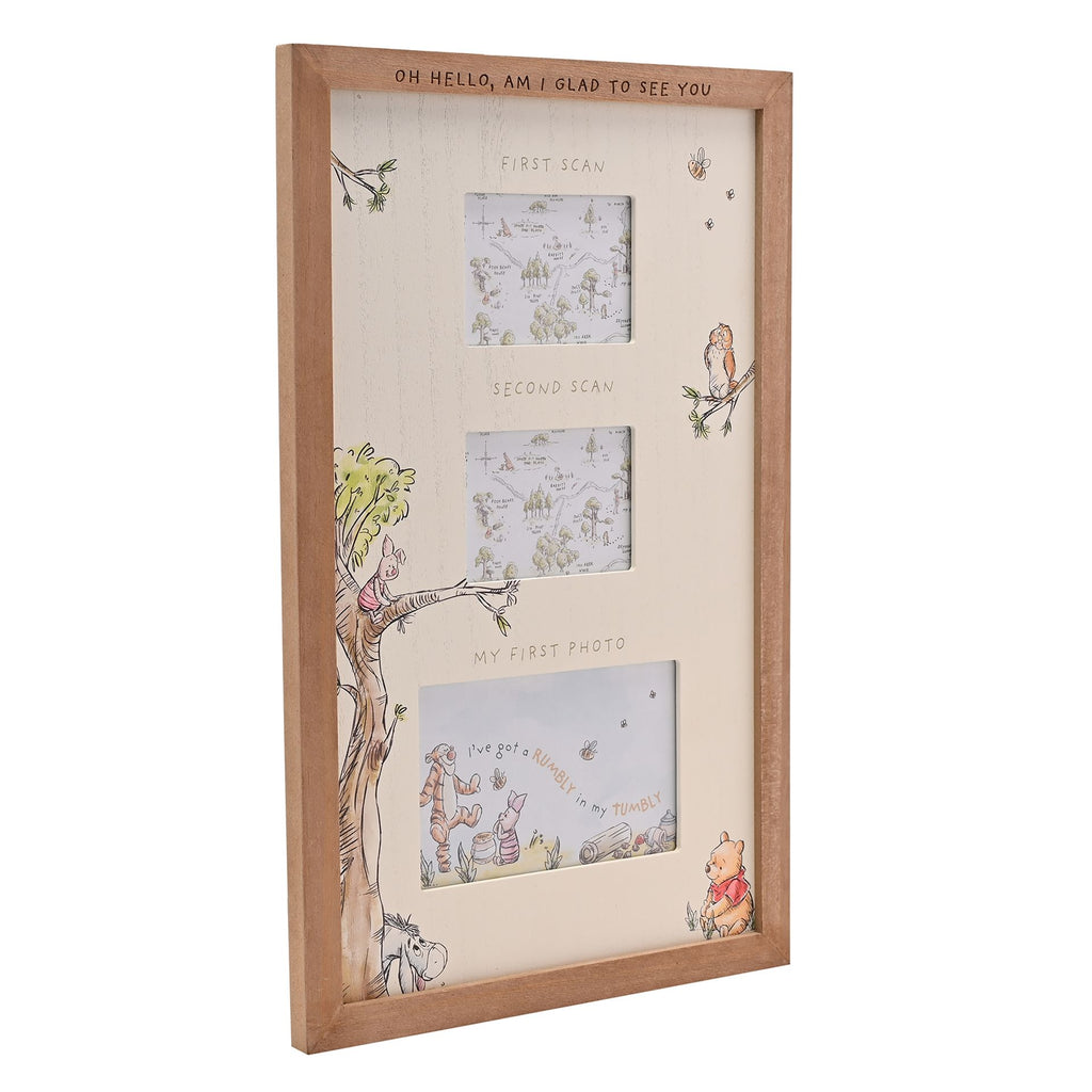 Winnie Pooh Aperture Scan Frame