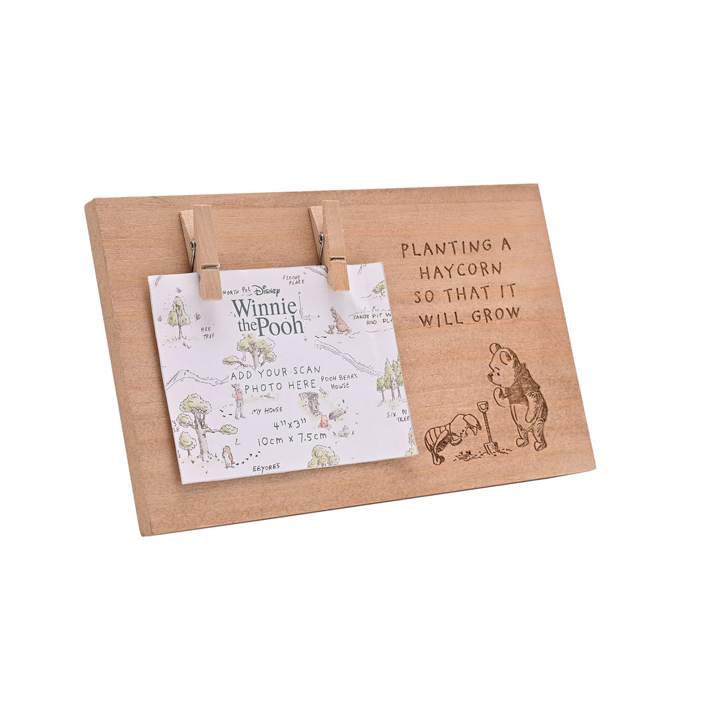 Winnie Pooh Scan Frame