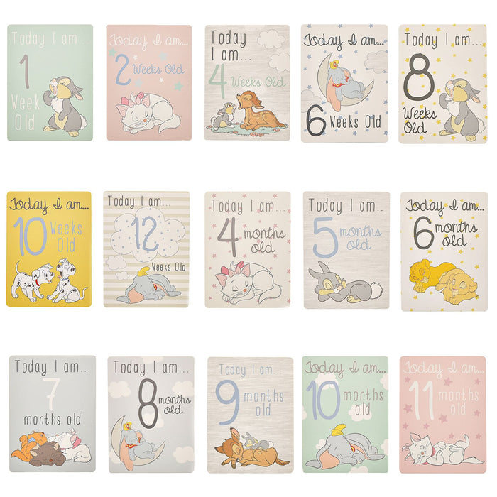Disney Magical Beginnings Baby 30 Milestone Cards