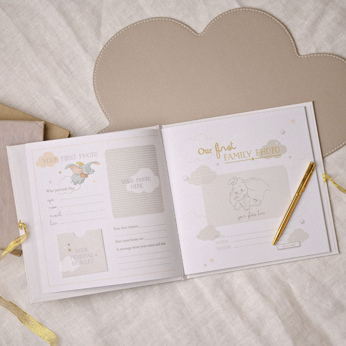 Disney Magical Beginnings My First Year Record Book