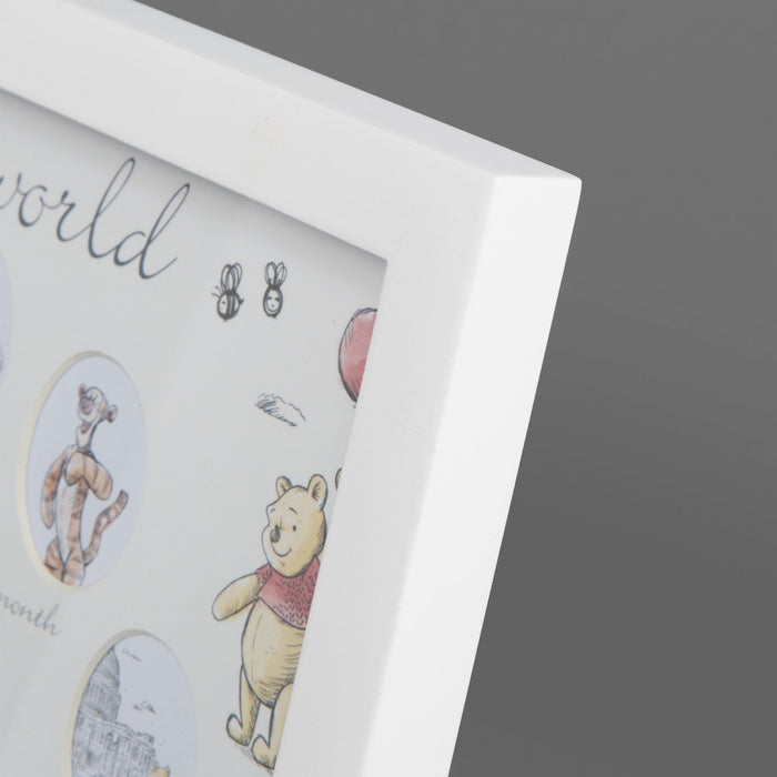 Disney Christopher Robin First Year Multi Aperture Frame