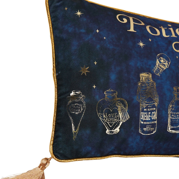 Harry Potter Alumni Velvet Cushion 50 x 30cm - Potions Class