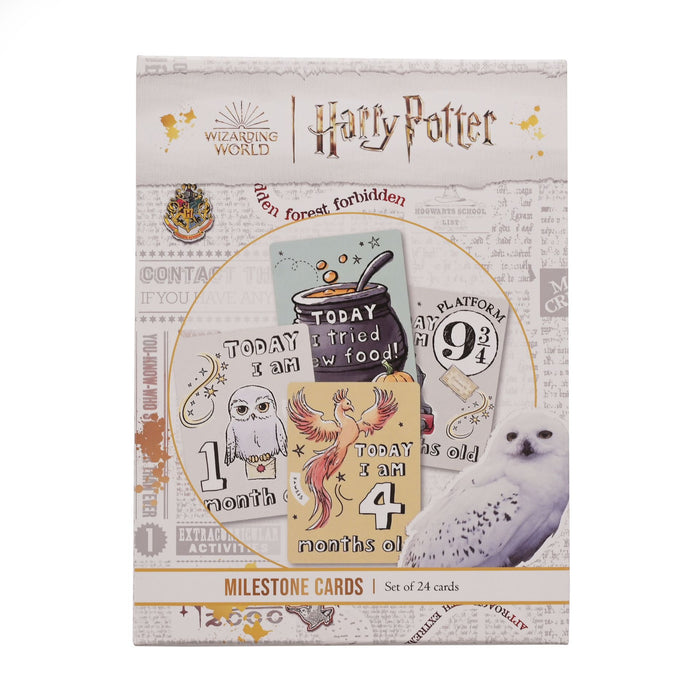 Harry Potter Charms Milestone Cards