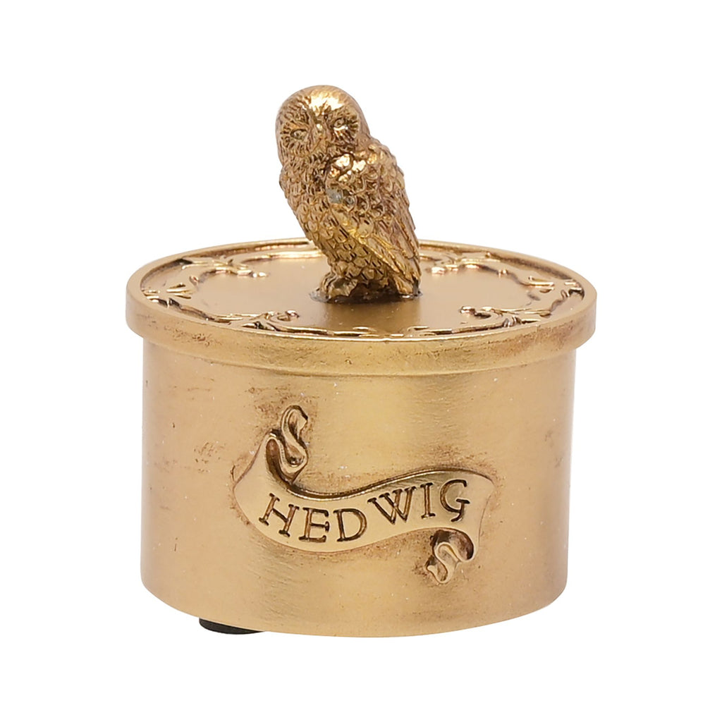Warner Bros Alumni Trinket Box Hedwig