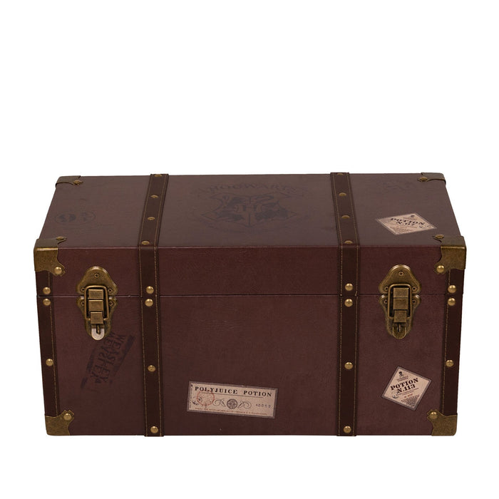 Warner Bros Harry Potter Alumni Large Trunk Set of 2