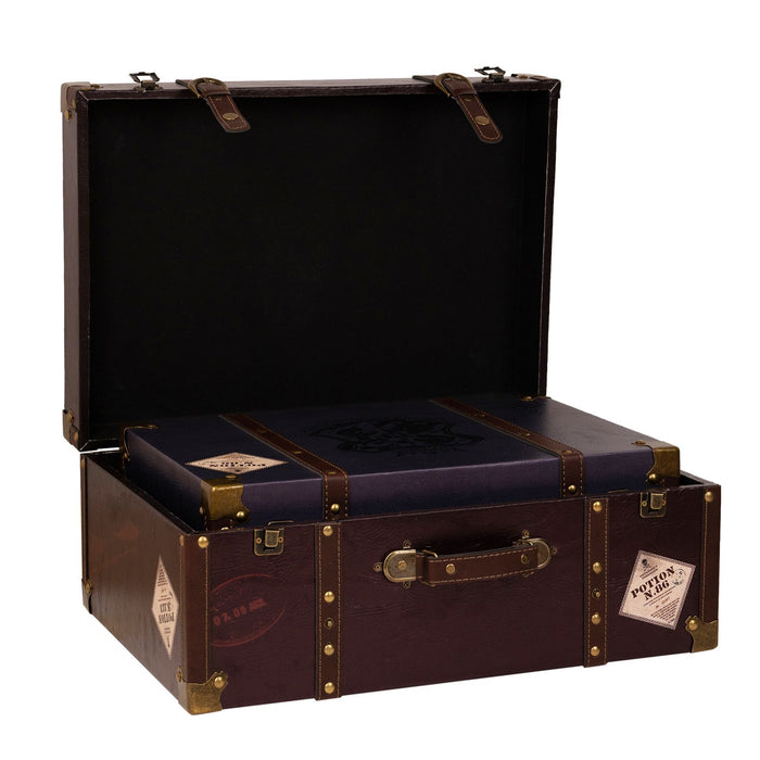 Warner Bros Harry Potter Alumni Burgundy Suitcase Set of 2