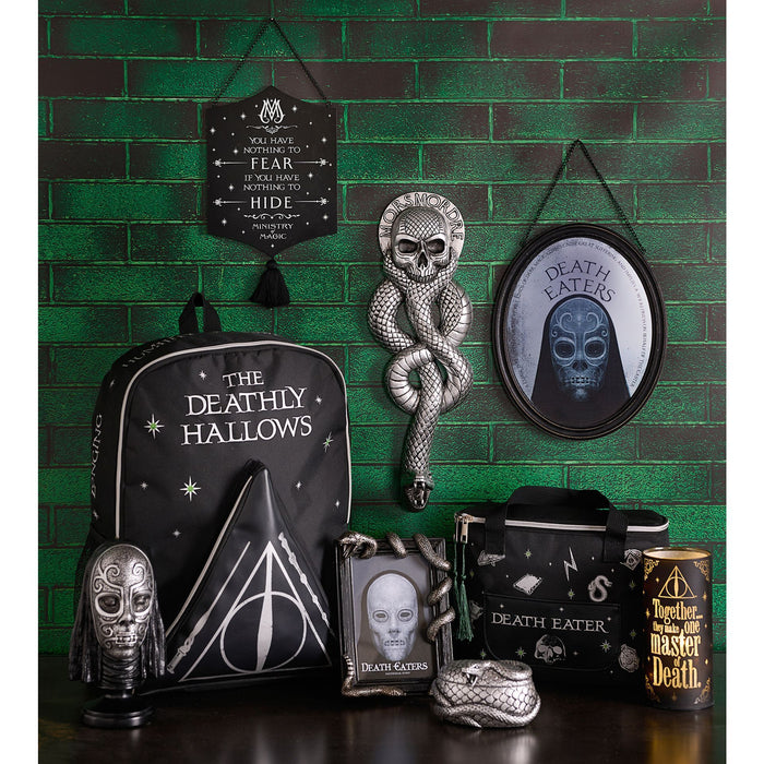 Warner Bros Harry Potter Dark Arts Frame - Nagini